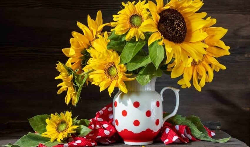 How Long Do Sunflowers Last After Being Cut?