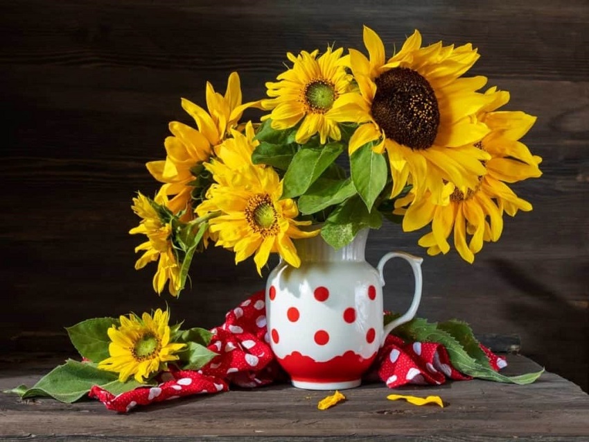 How Long Do Sunflowers Last After Being Cut