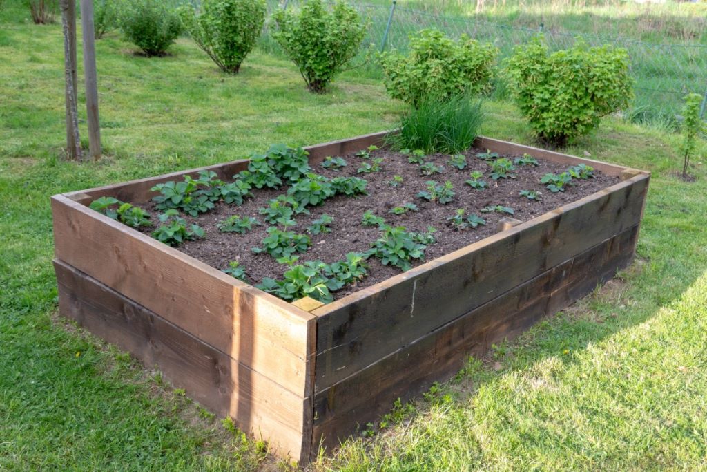 Choosing The Right Raised Bed